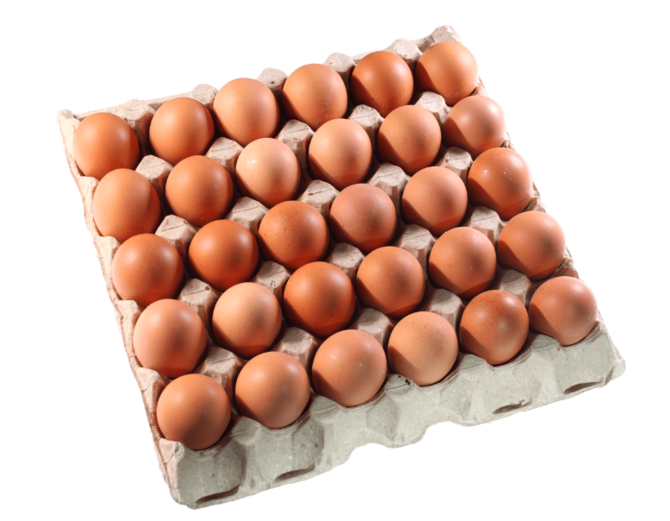 Яйця - 2520 шт Запоріжжя - зображення 1