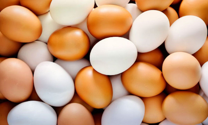 Продаж яєць курячих(різні категорії) Запоріжжя - зображення 1