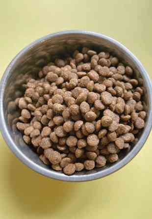 Корм для собак малих порід з куркою 600 грн 10 кг Dnipro
