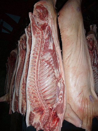 Свинина у напівтушах в шкірі та обрізні Нововолинськ - зображення 2