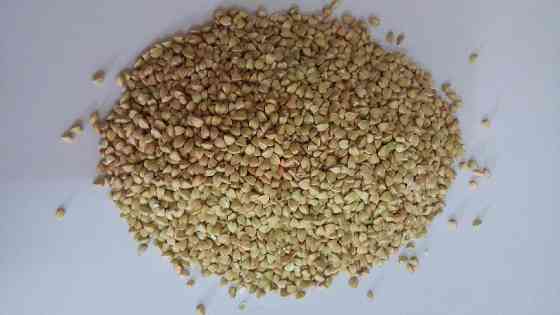 Millet/ buckwheat/ groats Люблин
