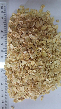 Millet/ buckwheat/ groats Люблин - зображення 3