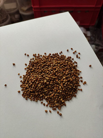 Millet/ buckwheat/ groats Люблин - зображення 2
