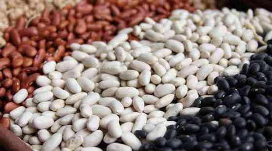 Beans with delivery across Europe Leiria