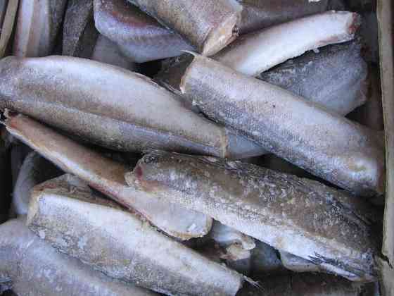 Риба заморожена Хек Vinnytsia