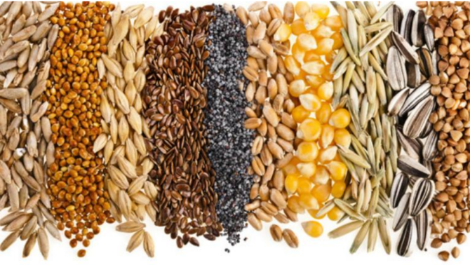 Оптова торгівля зерновими продуктами Кропивницький - зображення 1