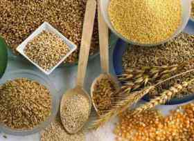 Вирощування зернових культур (крім рису), бобових культур і насіння олійних культур Ivano-Frankivs'k