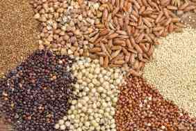 Вирощування зернових культур (крім рису), бобових культур і насіння олійних культур Hlobyne