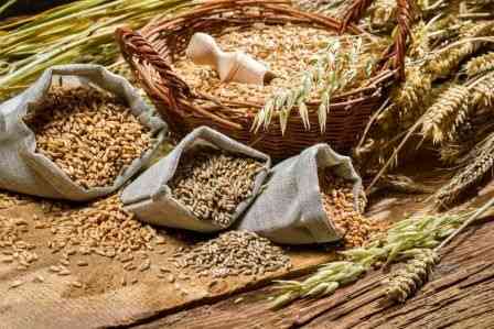 Вирощування зернових культур (крім рису), бобових культур і насіння олійних культур Vinnytsia