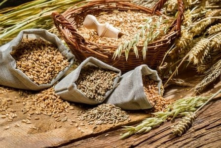 Вирощування зернових культур (крім рису), бобових культур і насіння олійних культур Вінниця - зображення 1