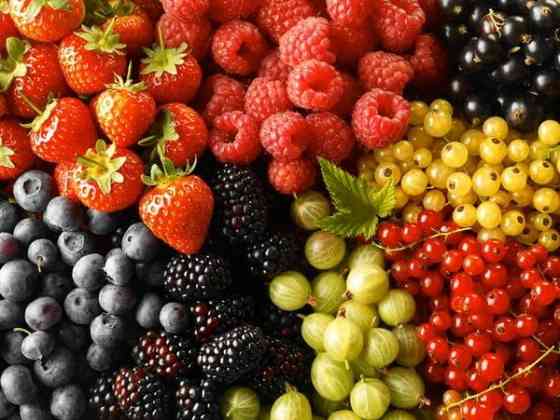 Вирощування ягід, горіхів, інших плодових дерев і чагарників Odesa