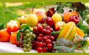 Вирощування зерняткових і кісточкових фруктів Horokhiv