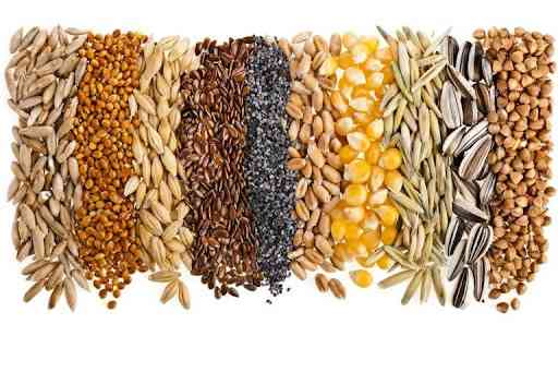 Вирощування зернових культур (крім рису), бобових культур і насіння олійних культур Khmel'nyts'kyy