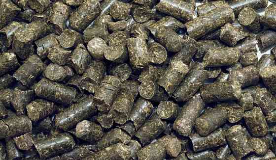 Паливні пелети гранули 6-8 мм з висівки пшеничної, кормова добавка. Kyiv